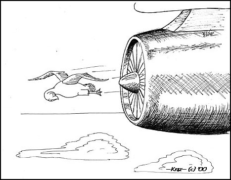 ../newssystem/imagesNews/old_archive/thumbnails/bl_liste_zweite_haelfte.jpg (41818 bytes)